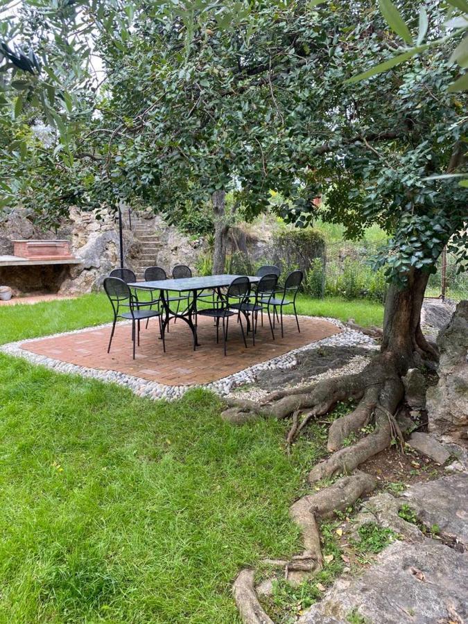 Villa Paolina Ceriale - App. 4 Posti מראה חיצוני תמונה
