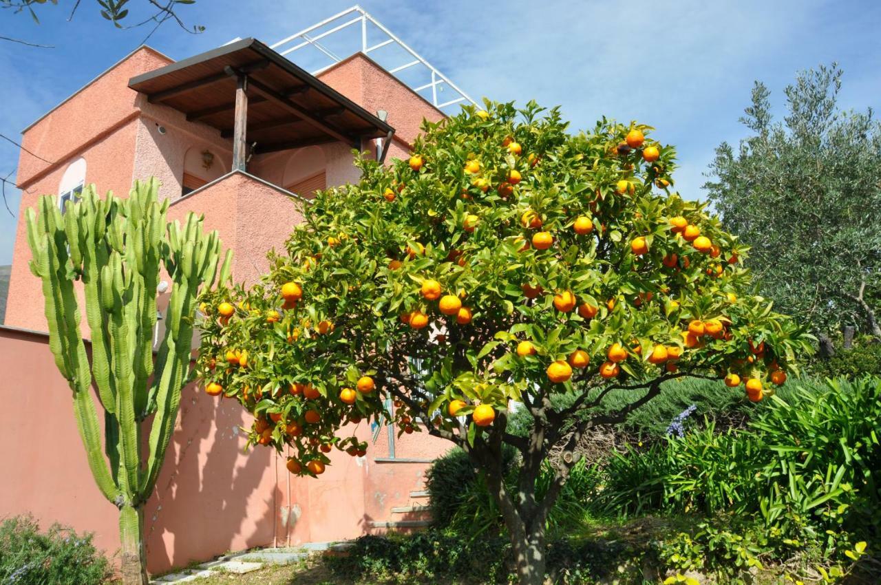 Villa Paolina Ceriale - App. 4 Posti מראה חיצוני תמונה